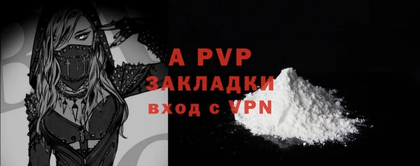 jwh Белокуриха