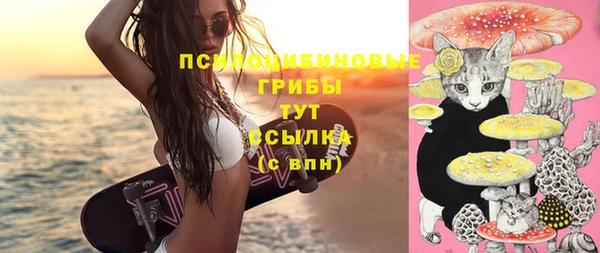 jwh Белокуриха